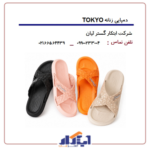 دمپایی مردانه TOKYO